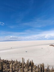 View from Incahuasi Island overlooking the Salar de Uyuni salt flats in Bolivia. Endless white horizon, sense of scale, freedom and remote natural landscape.