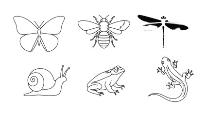 Insect Outline Art: A collection of meticulously drawn outlines of insects, capturing the essence of each creature, from butterfly to dragonfly, snail to frog.  © hafs121