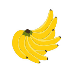 A fresh bunch of ripe yellow organic bananas isolated on a white background makes a healthy tropical fruit snack for a natural vegetarian diet