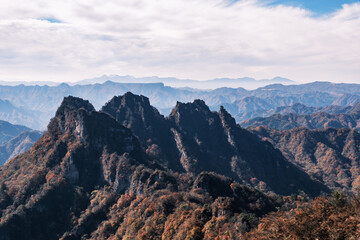 Naklejka premium 日本の秋の風景