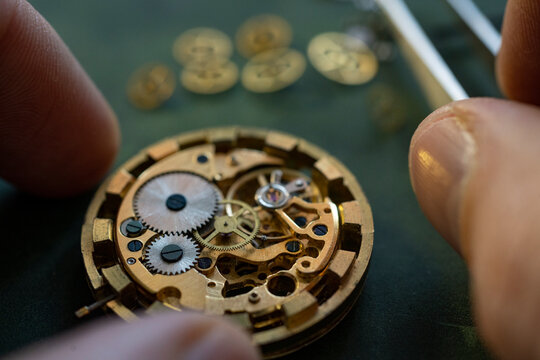 Mechanical watch repair. Watchmaker is repairing the mechanical watches