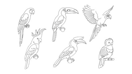 Fototapeta premium Bird Variety: An artistic display showcasing diverse bird species, each delicately rendered with intricate line work, providing a charming illustration of avian life.