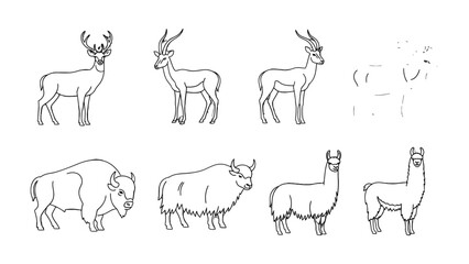 Fototapeta premium Line drawings of animals: A collection of various animals rendered in elegant, clean lines, suitable for a range of artistic or illustrative applications.