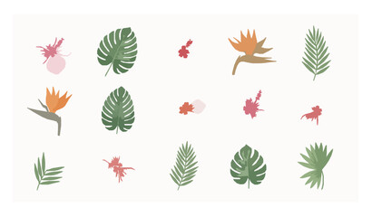 Obraz premium Minimal Watercolor Tropical Flowers and Leaves Clipart Vector Collection