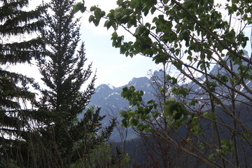 Jasper Alberta Rocky Mountain Scenery
