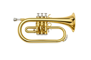 Shiny golden flugelhorn with valves and bell isolated on a black background