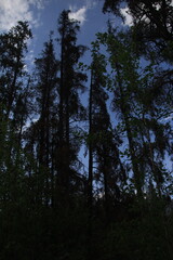 Jasper Alberta Rocky Mountain Scenery