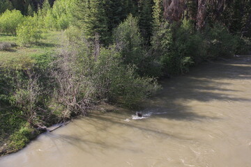 Jasper Alberta Rocky Mountain Scenery