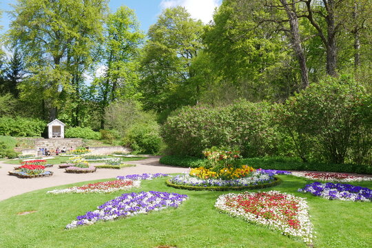 Blumen im Schlosspark Gro&szlig;kochberg