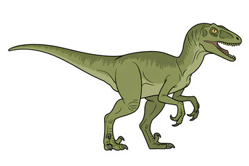 Fototapeta premium Green velociraptor dinosaur predator with sharp teeth walking side view isolated on white