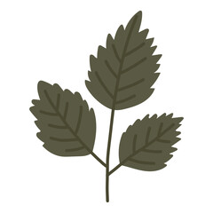 Flower element, Plant vector illustration, Digital flower design, Abstract floral item vector
