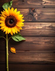 A bright yellow sunflower with green leaves lies on a rustic, dark brown wooden surface with linear woodgrain