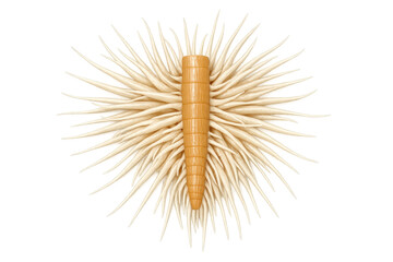 Abstract radial pattern of sharp, light brown, spiky elements emanating from a central segmented rod