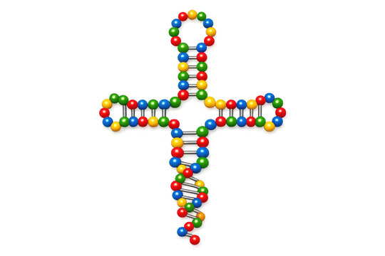 3D model of a transfer RNA molecule with colorful beads on a black background