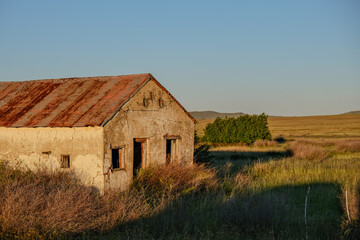 Obraz premium old barn in the field