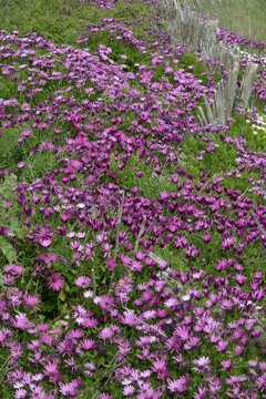 une promenade au long de la c&ocirc;te &agrave; Lesconil en Bretagne Cornouaille Finist&egrave;re France