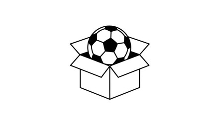 Black and White Soccer Ball in Open Cardboard Box