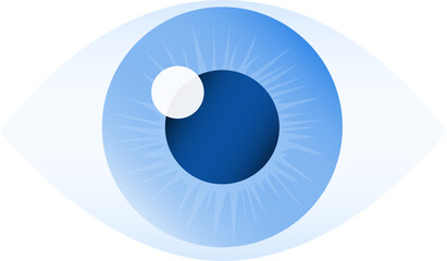 Human eye, realistic human eye isolated on white background, eye icon. Vector, cartoon illustration, poster, postcard. Vector