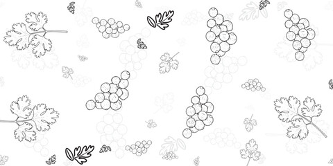 Seamless pattern of grapes and leaves, organic background for design