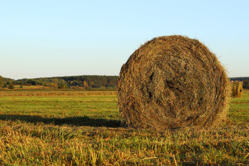 Hay bale on the field. Agricultural field with hay bale and sky. Hay bale close-up. Field