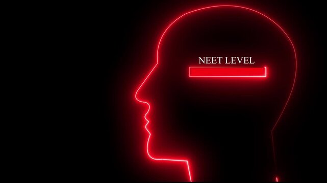 Neon Red Human Head Silhouette with Neet Level Text Display Digital Interface Concept futuristic technology