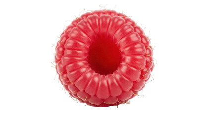Isolated raspberry close-up, fresh fruit full of vitamins, summer food for a healthy life