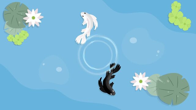 Two Black and White Fish Swimming in a Pond with Lily Pads 2d flat design style Animation Seamless Loop