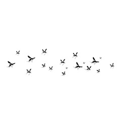 Flying Mosquito Illustration