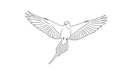 Fototapeta premium A detailed illustration of a bird in flight with wings spread wide and feathers intricately designed