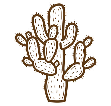 Hand drawn illustration of a brown cactus plant with detailed spines on white background