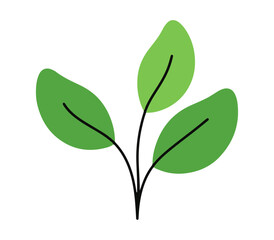 Obraz premium Three green leaves illustration, organic plant sprout and eco friendly nature growth symbol isolated on white background