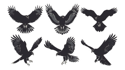 Fototapeta premium Majestic eagles in flight, showcasing powerful wings and soaring grace