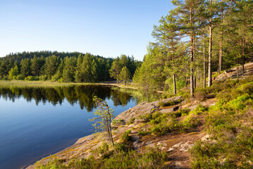 Obraz premium A summer evening on the shores of the picturesque island of Koyonsaari. Skerries of Lake Ladoga, Karelia, Russia