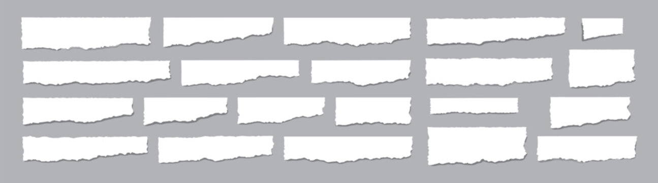 Set of white torn paper strips and ripped edges, clean rough borders and blank decorative elements for collage, banners and graphic design