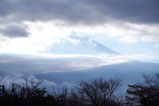 雲間から雄大な富士山が姿を現す冬の風景。手前には枯れ木がシルエットとなり、空には数羽の鳥が飛んでいる。