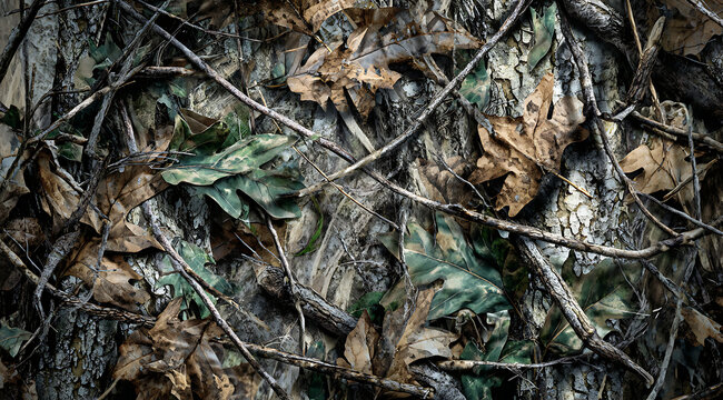 Hunting camouflage modern pattern, vector military print. real tree forest camouflage seamless pattern

