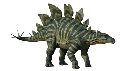 Isolated Stegosaurus, prehistoric dinosaur, extinct reptile with dorsal plates and tail spikes © Ophelia