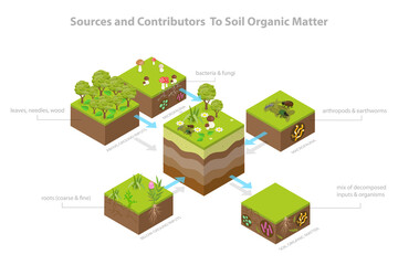 Obraz premium 3D Isometric Flat Illustration of Soil Composition, Exploring Soil Organic Matter Sources