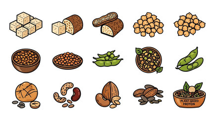 Healthy Plant Protein Foods Vector Illustration Set