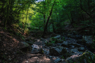 Obraz premium The valley of Ninglinspo, which is classed as an outstanding heritage area of Wallonia, Belgium