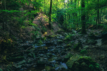 Fototapeta premium The valley of Ninglinspo, which is classed as an outstanding heritage area of Wallonia, Belgium