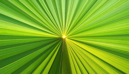 Fototapeta premium Close-up of vibrant green leaf veins radiating from a central light source