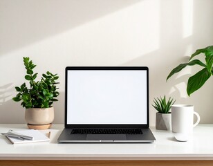 Fototapeta premium Minimalistischer Arbeitsplatz mit Pflanzen