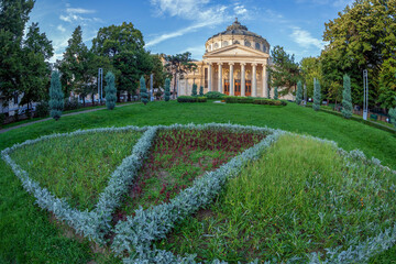 Obraz premium The Romanian Athenaeum, built 1886-1888 with 800 seats,41 m high,6 columns with 12 m high,5 paintings with figures of princes of the historical Romanian Principalities, Bucharest, Romania