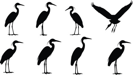 Heron bird silhouette collection featuring standing and flying poses, elegant black wading bird wildlife illustration set isolated