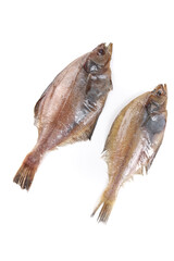 Fototapeta premium Fresh Dalian Arctic Flounder Fish Seafood Batch Ready for Cooking on White Background