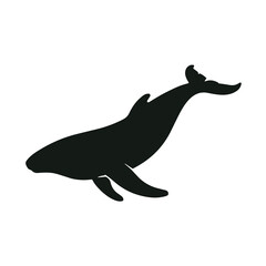 Silhouette of a whale