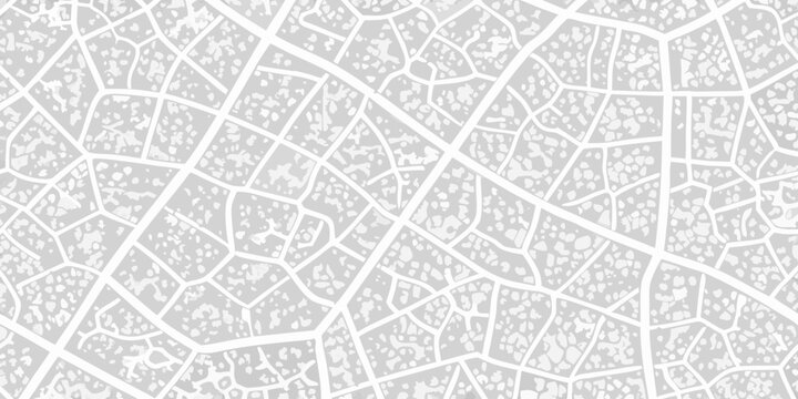Abstract gray and white cracked pattern resembling a road map or veins