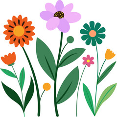 Wild garden flower vector elements  colorful vector  on white background 