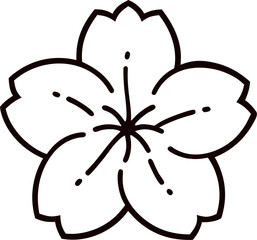 sakura cherry  blossom vector  outline  icon on white background 